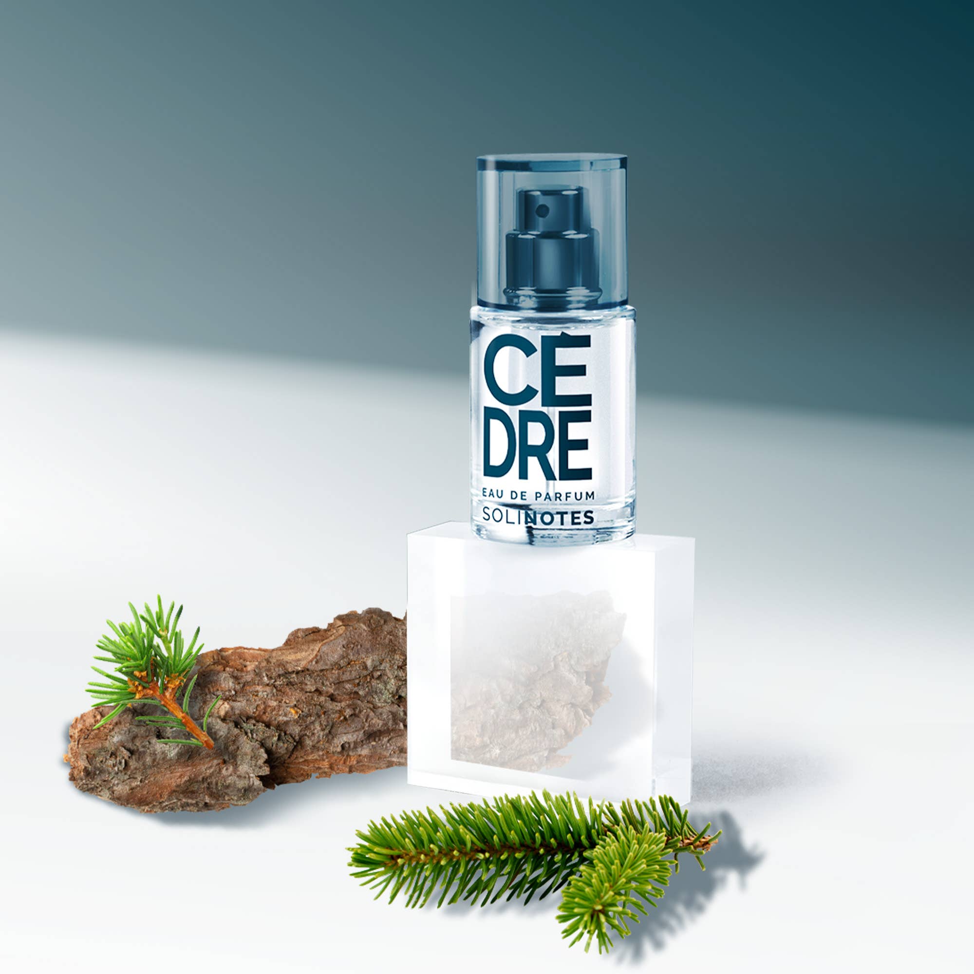 Mini Cedar Perfume 0.5 oz - CLEAN BEAUTY